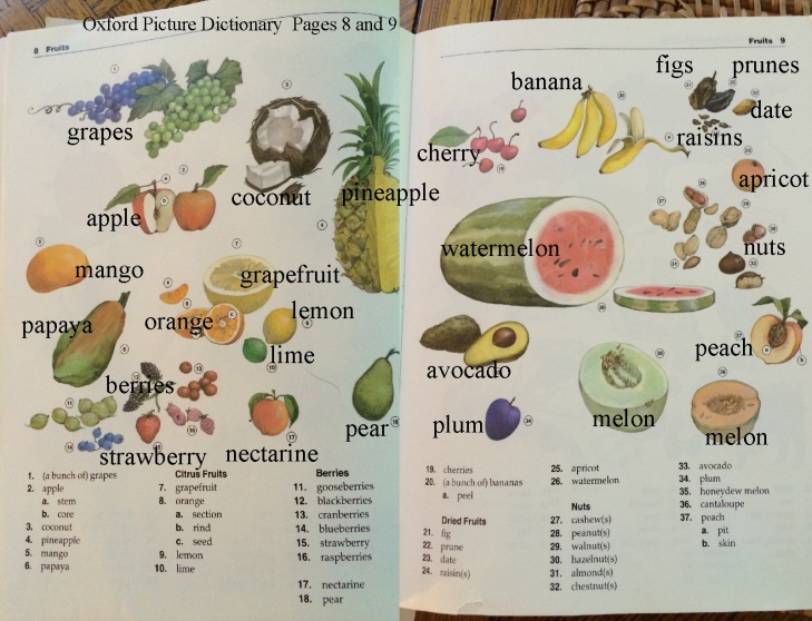 English vocabulary  fruit photos and words